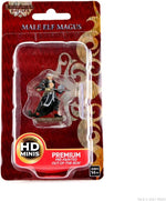 Pathfinder Battles: Premium Painted Figure - W03 Male Elf Magus