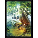 Legion Matte Sleeves: Lands - Forest (50)