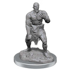 Dungeons & Dragons Nolzur`s Marvelous Unpainted Miniatures: W17 Flesh Golems