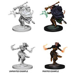 Dungeons & Dragons Nolzur`s Marvelous Unpainted Miniatures: Female Tiefling Warlock
