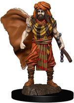Dungeons & Dragons Fantasy Miniatures: Icons of the Realms Premium Figures W4 Human Druid Male