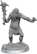 Dungeons & Dragons Nolzur's Marvelous Miniatures: W21 Grimlocks