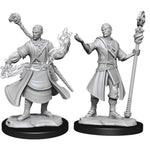 Dungeons & Dragons Nolzur`s Marvelous Unpainted Miniatures: W14 Half-Elf Wizard Male