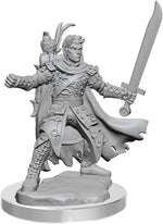 Dungeons & Dragons Frameworks: W02A Male Half-Elf Ranger