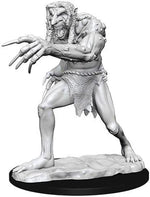 Dungeons & Dragons Nolzur`s Marvelous Unpainted Miniatures: W12.5 Troll