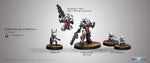 Infinity: Nomads - Taskmaster Bakunin Swast Team