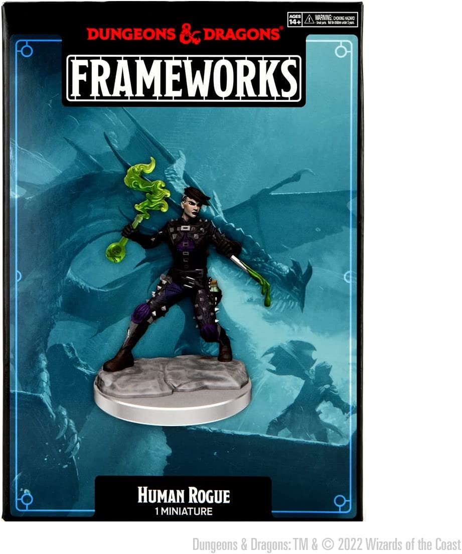 Dungeons & Dragons Frameworks: W01 Human Rogue Female