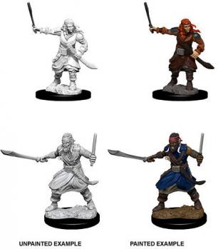 Dungeons & Dragons Nolzur`s Marvelous Unpainted Miniatures: W8 Bandits