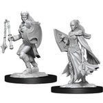 Dungeons & Dragons Nolzur`s Marvelous Unpainted Miniatures: W14 Kalashtar Cleric Female