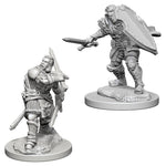 Dungeons and Dragons Nolzur's Marvelous Miniatures Human Paladin Male