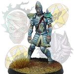 Star Player Shop Undead Elf Zombie