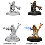Dungeons & Dragons Nolzur`s Marvelous Unpainted Miniatures: Female Gnome Wizard