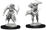 Dungeons & Dragons Nolzur`s Marvelous Unpainted Miniatures: W7 Tiefling Female Rogue