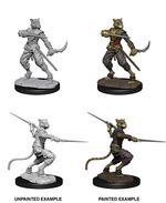 Dungeons & Dragons Nolzur`s Marvelous Miniatures: W7 Male Tabaxi Rogue