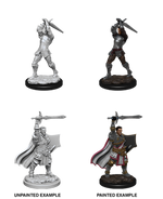 Dungeons & Dragons Nolzur`s Marvelous Unpainted Miniatures: W12 Male Human Paladin