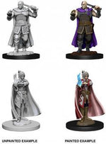 Dungeons & Dragons Nolzur`s Marvelous Unpainted Miniatures: W8 Minsc & Delina
