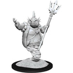 Dungeons & Dragons Nolzur`s Marvelous Unpainted Miniatures: W14 Marid