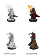 Pathfinder Deep Cuts Unpainted Miniatures: W12 Cultist & Devil