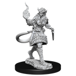 Dungeons & Dragons Nolzur`s Marvelous Unpainted Miniatures: W15 Tiefling Sorcerer Female