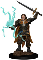 Pathfinder Battles: Premium Painted Figure - W1 Human Cleric Male
