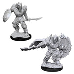 Dungeons & Dragons Nolzur`s Marvelous Unpainted Miniatures: W15 Dragonborn Fighter Male