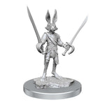 Dungeons & Dragons Nolzur`s Marvelous Unpainted Miniatures: W17 Harengon Rogues
