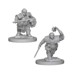 D&D Nolzur's Marvelous Miniatures Dwarf Fighter