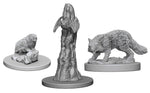 Deep Cuts Pathfinder Unpainted Miniatures Familiars