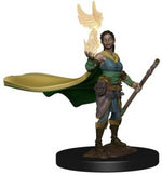 Dungeons & Dragons Icons of the Realms Premium Figures: W1 Elf Female Druid