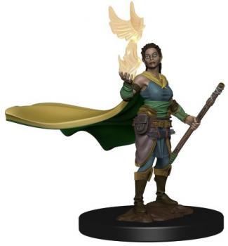 Dungeons & Dragons Icons of the Realms Premium Figures: W1 Elf Female Druid