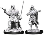 Pathfinder Deep Cuts Unpainted Miniatures: W13 Human Rogue Male