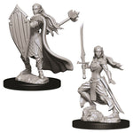 Dungeons & Dragons Nolzur`s Marvelous Unpainted Miniatures: W9 Female Elf Paladin