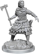 Dungeons & Dragons Nolzur's Marvelous Miniatures: W21 Human Fighters