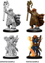 Dungeons & Dragons Nolzur`s Marvelous Unpainted Miniatures: W8 Dragonborn Female Sorcerer