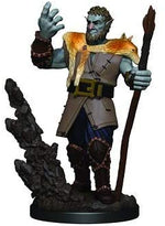 Dungeons & Dragons Fantasy Miniatures: Icons of the Realms Premium Figures W3 Firbolg Male Druid