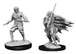 Pathfinder Deep Cuts Unpainted Miniatures: W10 Male Elf Rogue