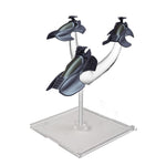 Star Trek Attack Wing: Wave 20 Scorpion Attack Squadron Expansion Pack