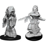 Dungeons & Dragons Nolzur`s Marvelous Unpainted Miniatures: W14 Night Hag & Dusk Hag