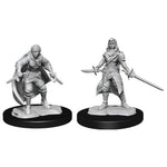 Dungeons & Dragons Nolzur`s Marvelous Unpainted Miniatures: W14 Half-Elf Rogue Female