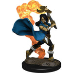 Pathfinder Battles: Premium Painted Figure - W2 Human Cleric Female