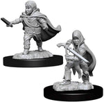 Dungeons & Dragons Nolzur`s Marvelous Unpainted Miniatures: W13 Halfling Rogue Male