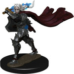 Pathfinder Battles: Premium Painted Figure - W2 Elf Paladin Female