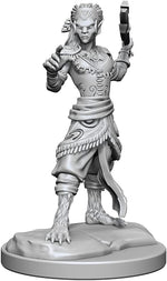 Dungeons & Dragons Nolzur`s Marvelous Unpainted Miniatures: W20 Shifter Fighter