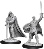 Dungeons & Dragons Nolzur`s Marvelous Unpainted Miniatures: W13 Human Paladin Male