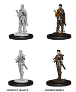 Dungeons & Dragons Nolzur`s Marvelous Miniatures: W7 Female Half-Elf Bard