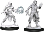 Dungeons & Dragons Nolzur`s Marvelous Unpainted Miniatures: W13 Multiclass Fighter + Wizard Male