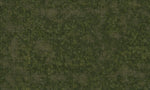 Dungeons & Dragons Fantasy Miniatures: Icons of the Realms Grasslands Battle Mat