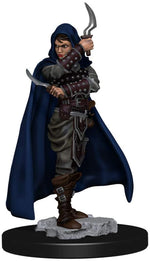 Pathfinder Battles: Premium Painted Figure - W1 Human Rogue Female