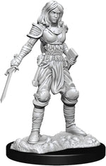 Pathfinder Deep Cuts Unpainted Miniatures: W15 Human Fighter Female