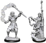 Dungeons & Dragons Nolzur`s Marvelous Unpainted Miniatures: W13 Firbolg Druid Female